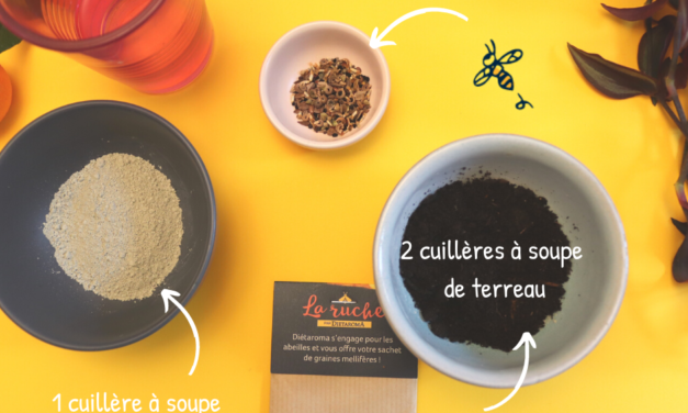 Blog – DIY honey seeds tutorial