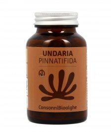Undaria Pinnatifida
