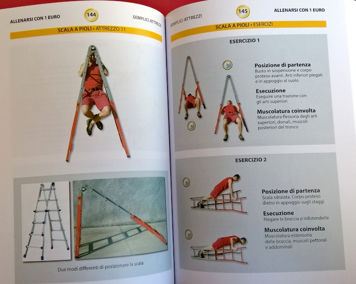 Stepladder to work your back