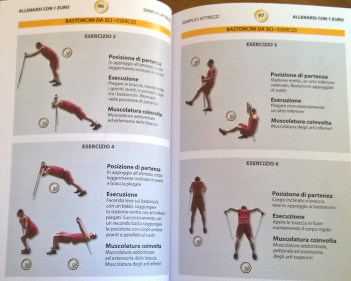 ski poles as fitness accessories