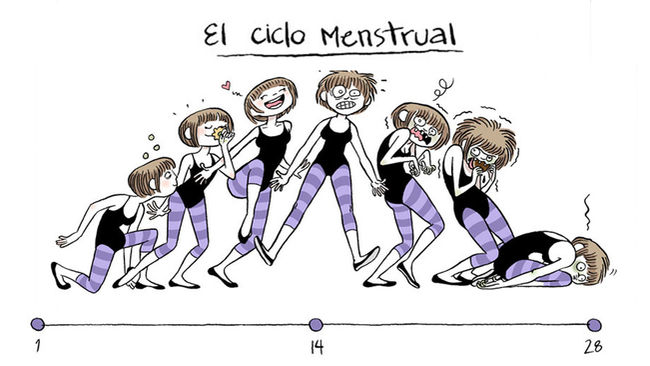 the phases of the menstrual cycle