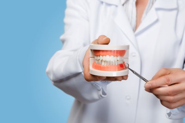 teeth gums
