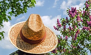 hat-1379590__180