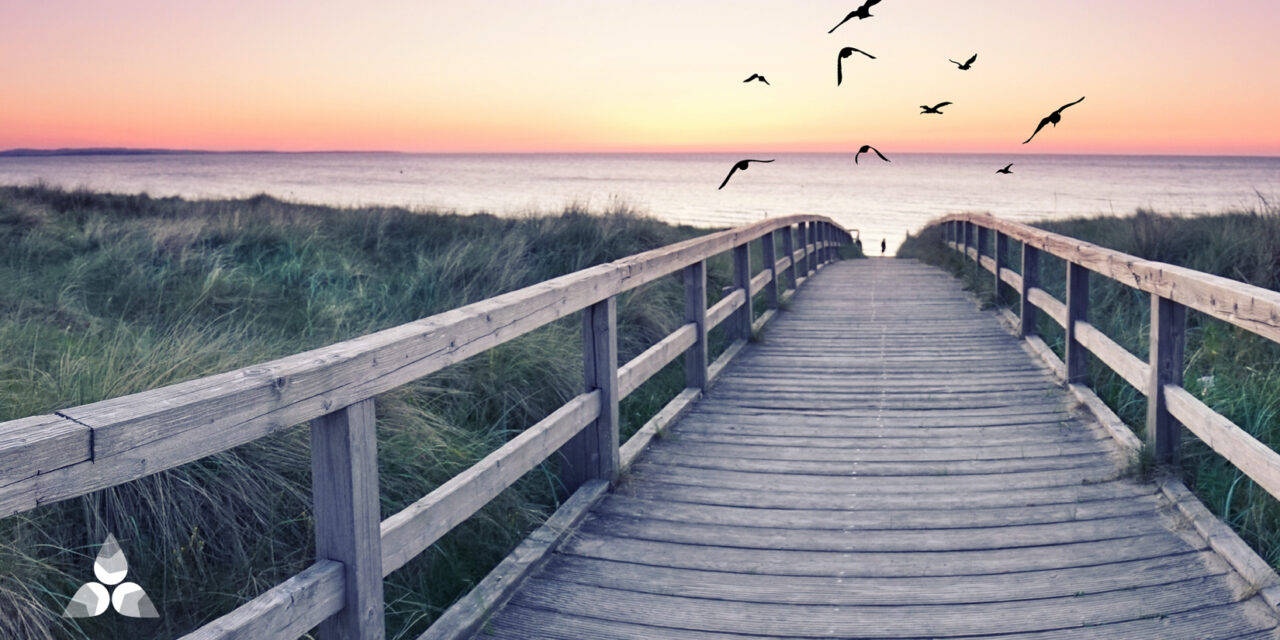 The road to well-being… |  Harmony of the mind