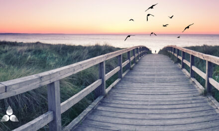 The road to well-being… |  Harmony of the mind