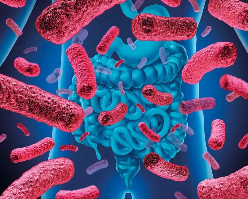 Intestinal Microbiota, ours "Fingerprint"