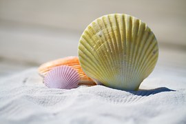 Summer trends