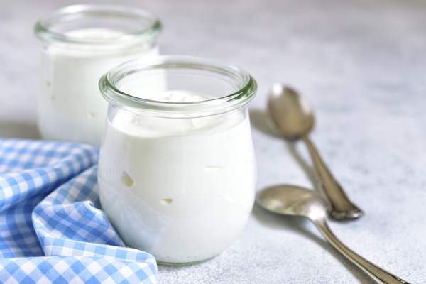 Yogurt with live lactic ferments